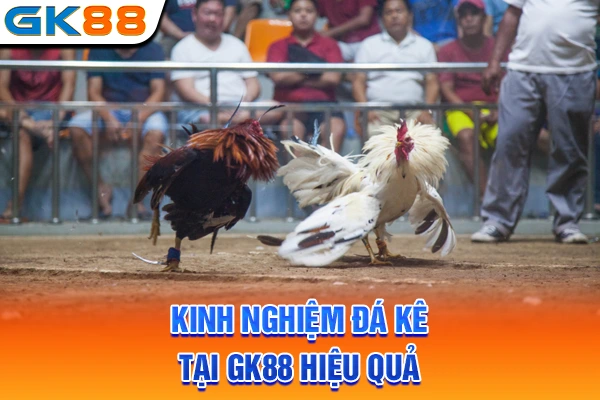 Kinh nghiệm đá kê tại GK88 hiệu quả