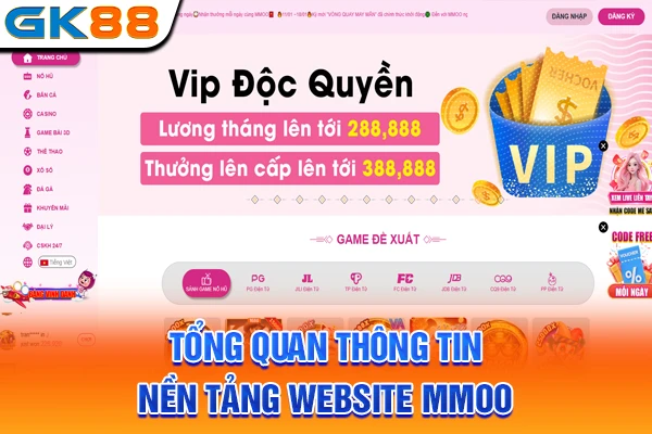 Tổng quan thông tin nền tảng website MMOO