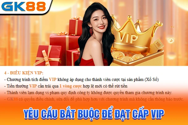 Yêu cầu bắt buộc để đạt cấp VIP